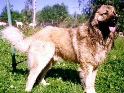 060210DariusOK.jpg